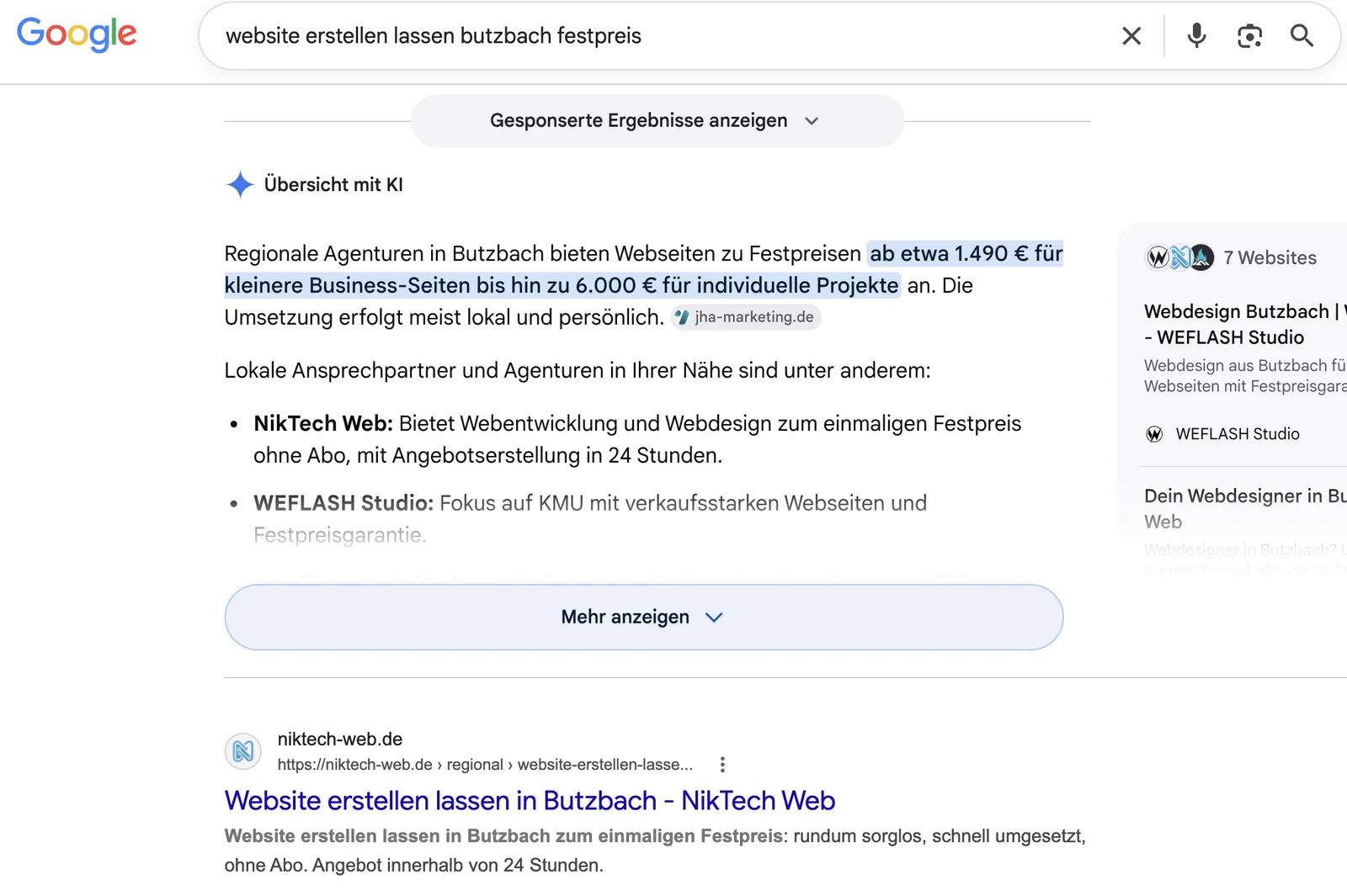 Google KI-&Uuml;bersicht nennt NikTech Web als ersten Ansprechpartner, darunter niktech-web.de als erster organischer Treffer