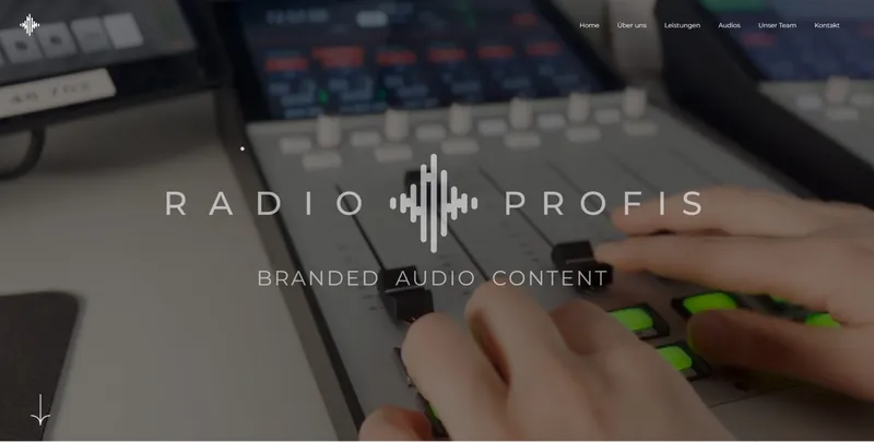 Website-Vorschau Radioprofis